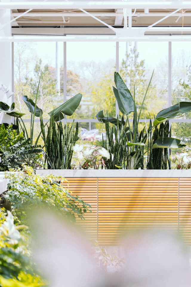 Service plants shop product gallery img 7